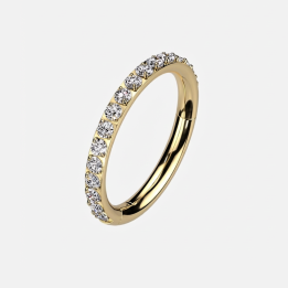 Anneau Éternité Titane ASTM F136 Doré PVD Zircons – 8, 10, 12 mm